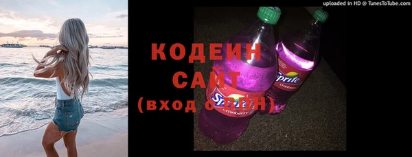 хмурый Касимов