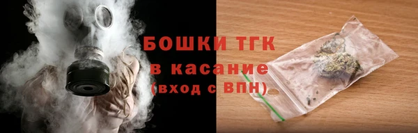 хмурый Касимов