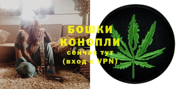 молекула духа Карпинск