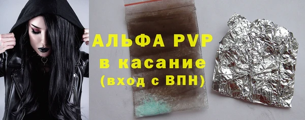 хмурый Касимов