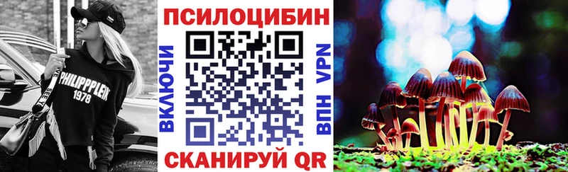 Купить закладки  Богородск  Псилоцибиновые грибы мухоморы 