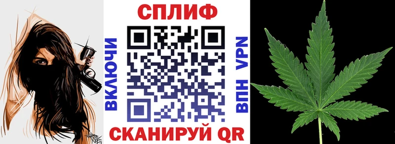 Купить  Богородск  Конопля Amnesia 
